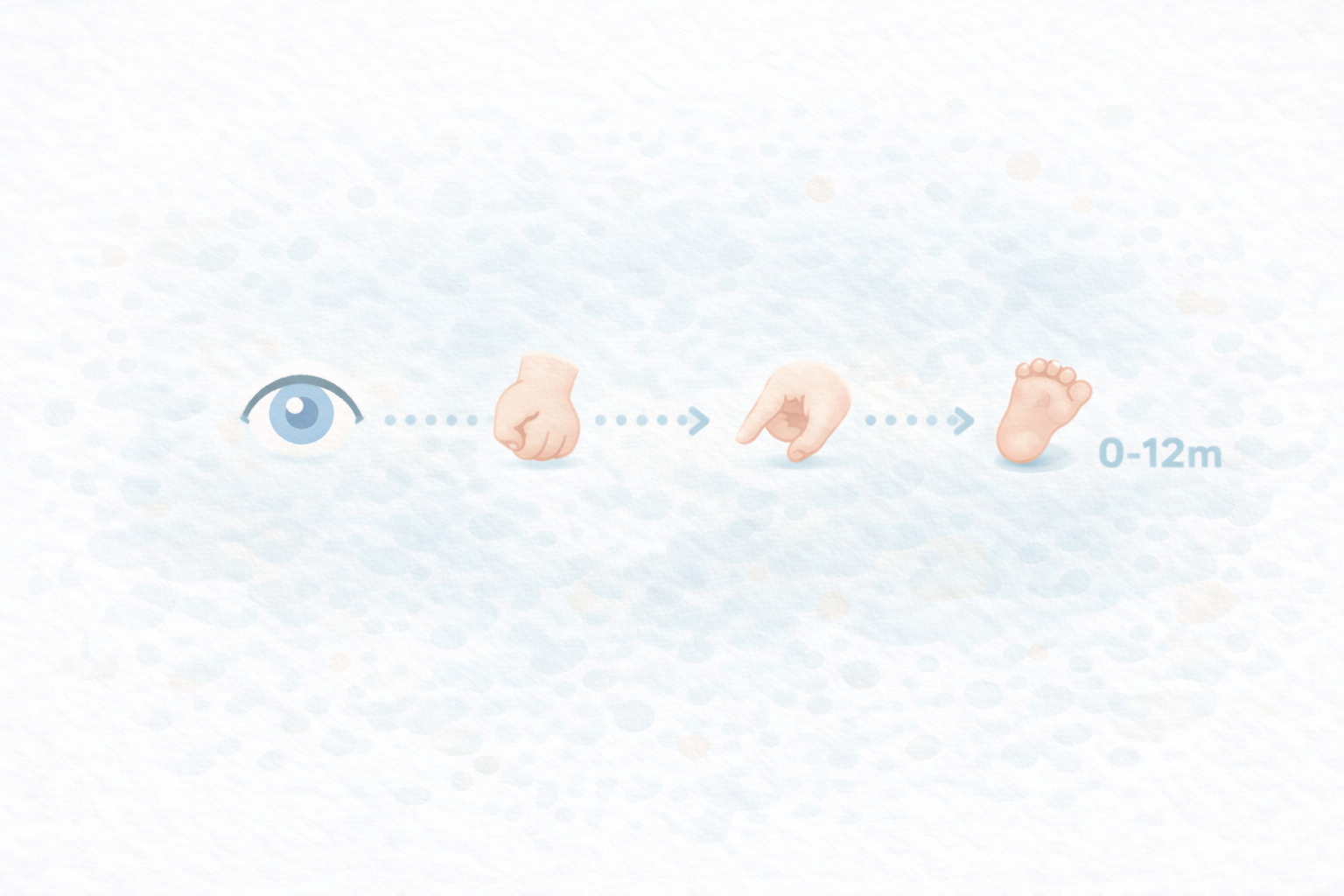 0歳 月齢別 発達と玩具